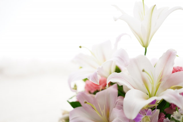 仏壇に供える仏花...どんなお花を選んでますか？