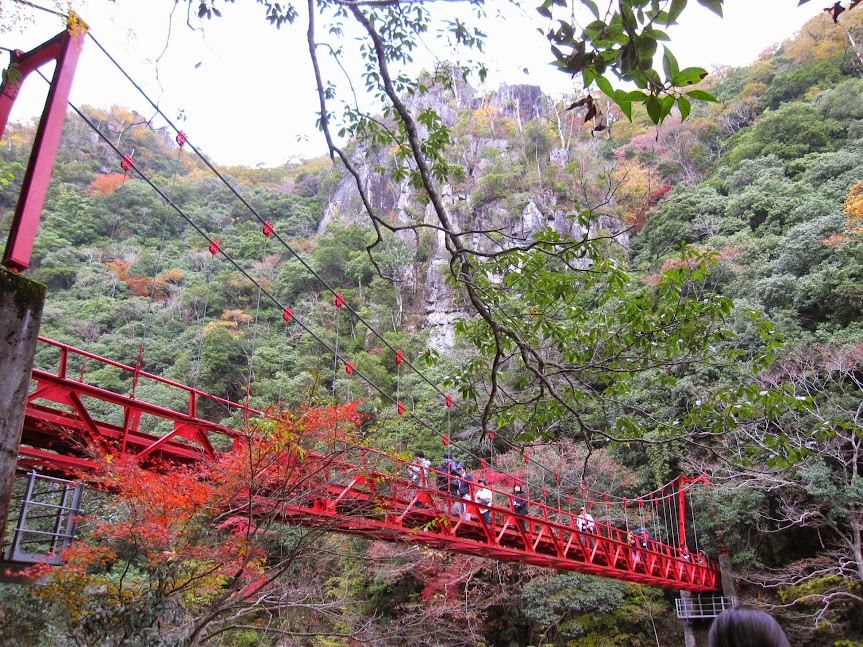 山口県の紅葉スポット巡り🍂