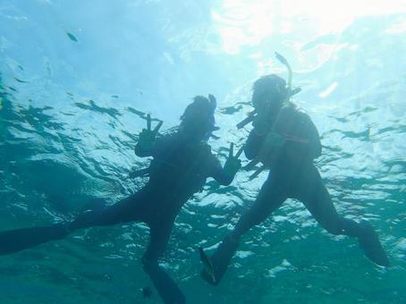 「一日海士体験プログラム」に参加しませんか🐚？