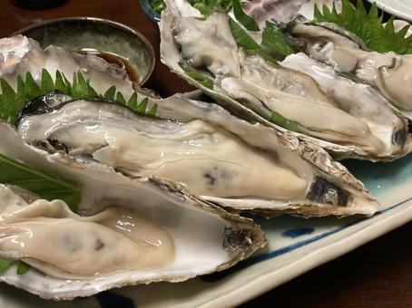 今年も販売中！夏の青海島から届く、とろけるような「岩牡蠣」🫠🐚
