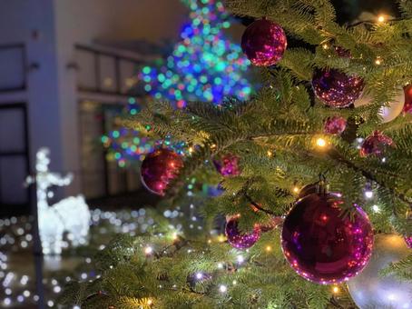 🎄【12/1～】12月、山口市はクリスマス市になる🎅