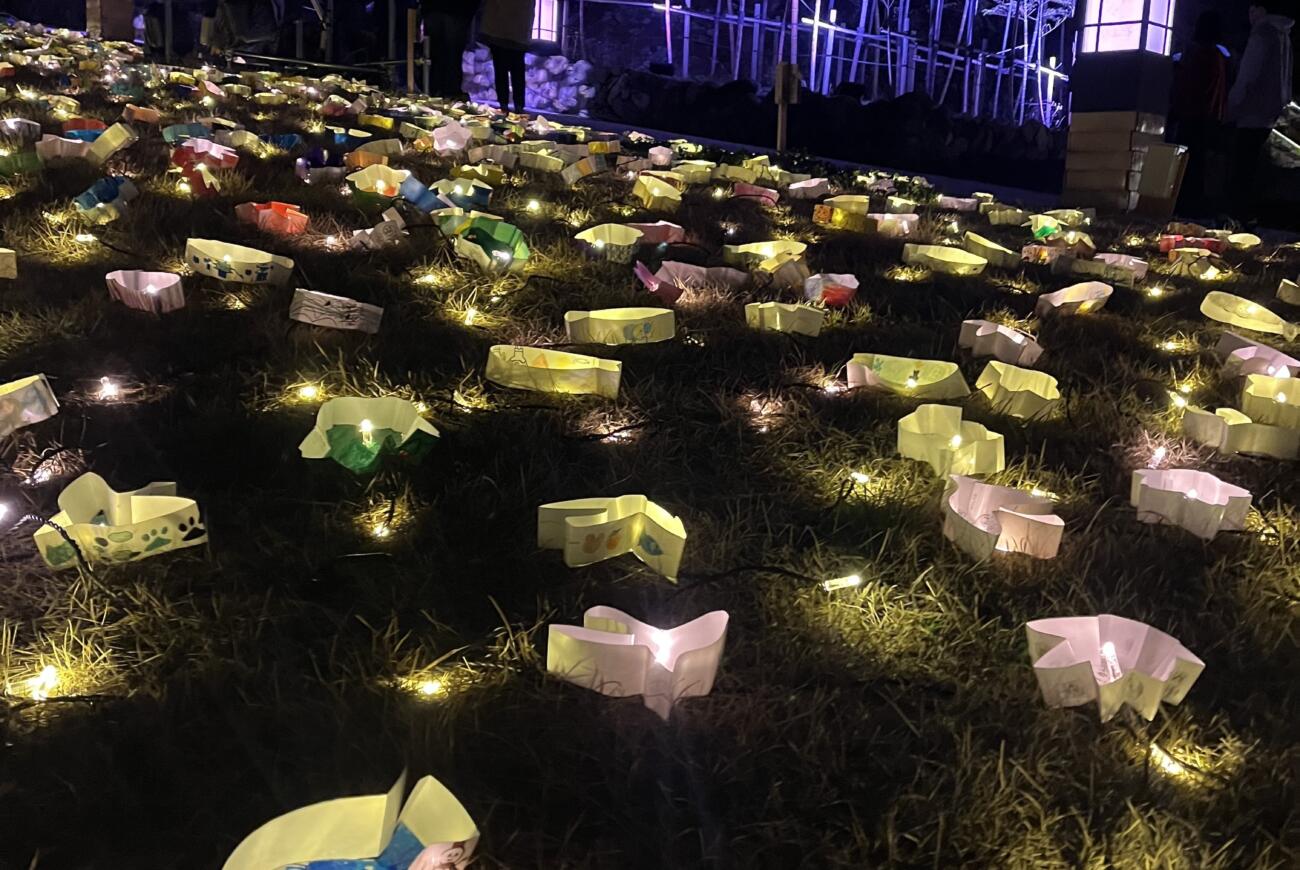 【3/8まで！】2026年「うたあかり」が開催中です✨